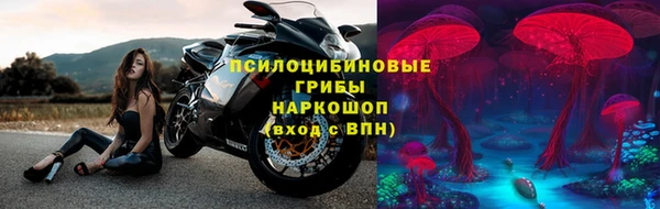 дживик Козельск