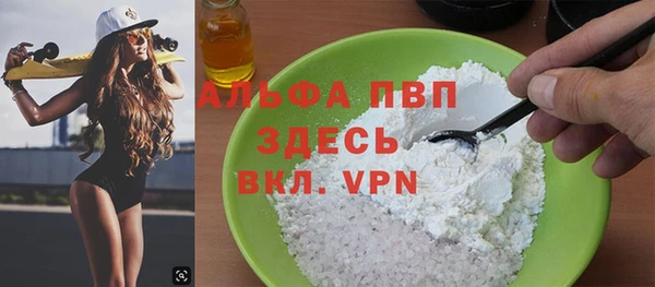 дживик Козельск