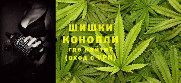 дживик Козельск