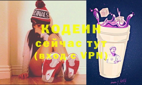дживик Козельск