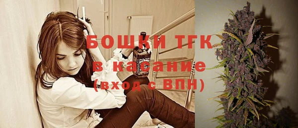 дживик Козельск