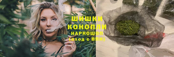 дживик Козельск