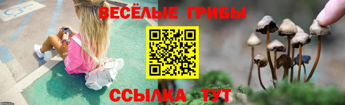 Псилоцибиновые грибы Magic Shrooms  Вход с VPN  Мыски 